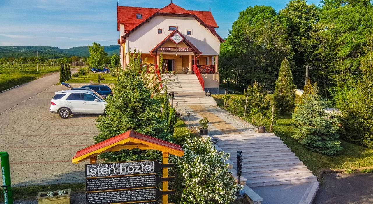Borhotel Sziluett Farkasmaly Gyöngyös Exterior foto